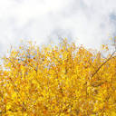 Free Nature Stock – Download free photos